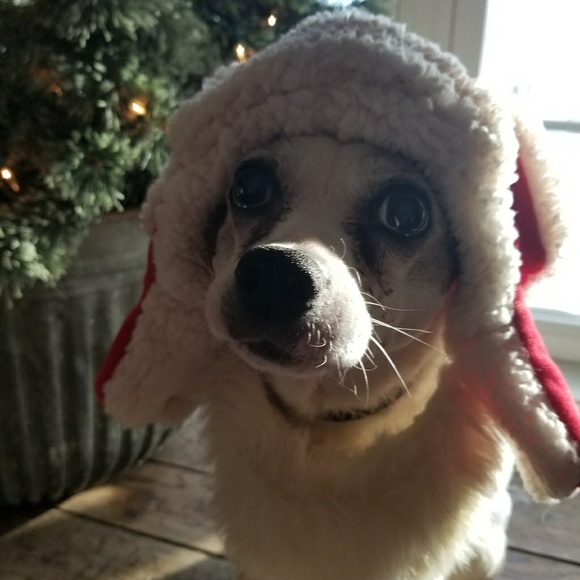 Meet your Posher, Raechel - Picture 4 of 4